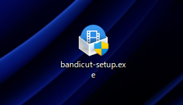 Bandicut のインストール:画像3