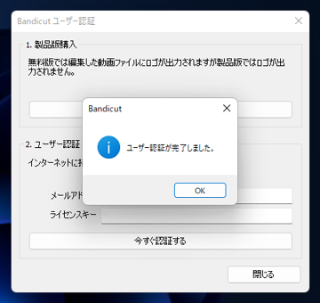 Bandicut のインストール:画像16