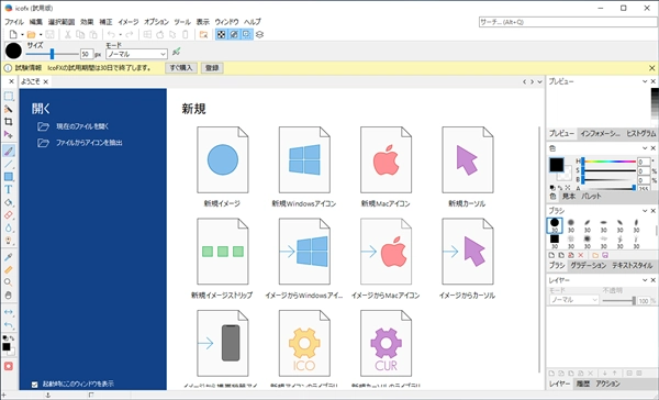 IcoFX のインストール:画像11