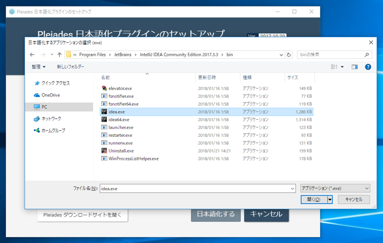 IntelliJ IDEA を日本語化する / Pleiades日本語化プラグインのインストール:画像9