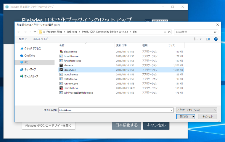 IntelliJ IDEA を日本語化する / Pleiades日本語化プラグインのインストール:画像8