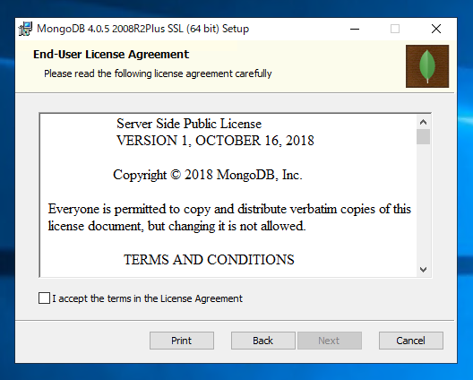MongoDBのインストール:画像4