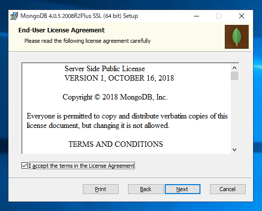 MongoDBのインストール:画像5