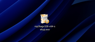 Mp3tag をインストールする:画像4