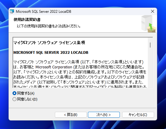 SQL Server 2022 LocalDB のインストール:画像4