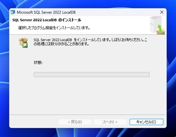 SQL Server 2022 LocalDB のインストール:画像6