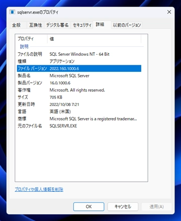 SQL Server 2022 LocalDB のインストール:画像11