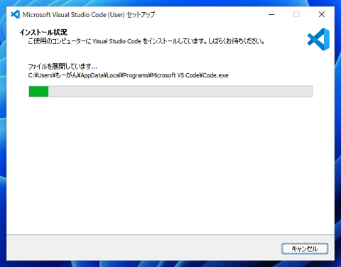 Visual Studio Code のインストール:画像10