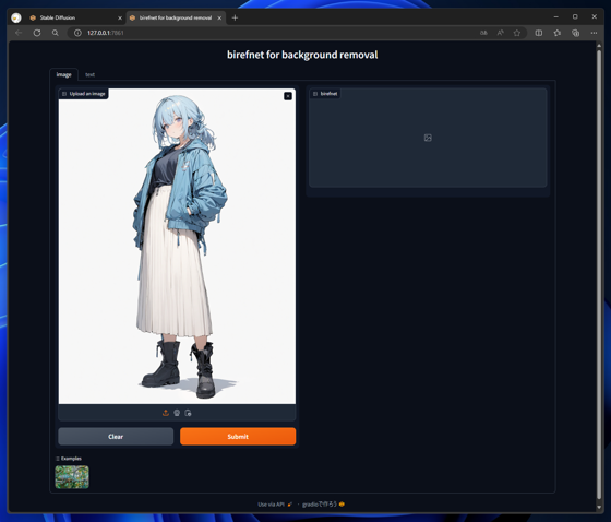 BiRefNet for background removal をローカルマシンで実行する:画像40
