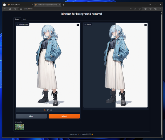 BiRefNet for background removal をローカルマシンで実行する:画像41