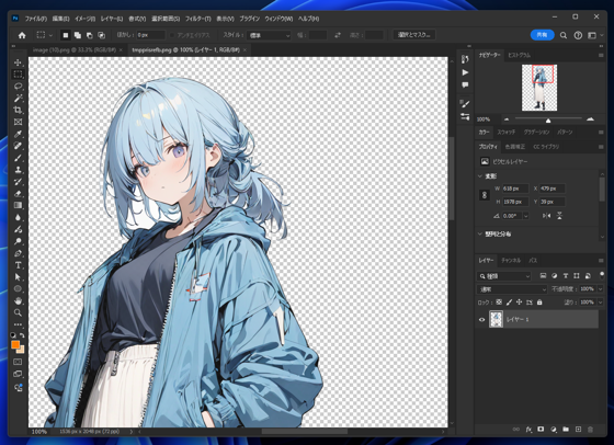 BiRefNet for background removal をローカルマシンで実行する:画像44