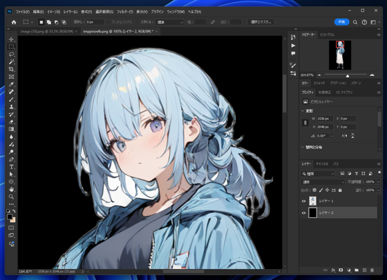 BiRefNet for background removal をローカルマシンで実行する:画像45