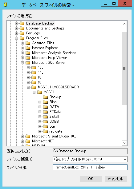 データベースのバックアップ:画像15