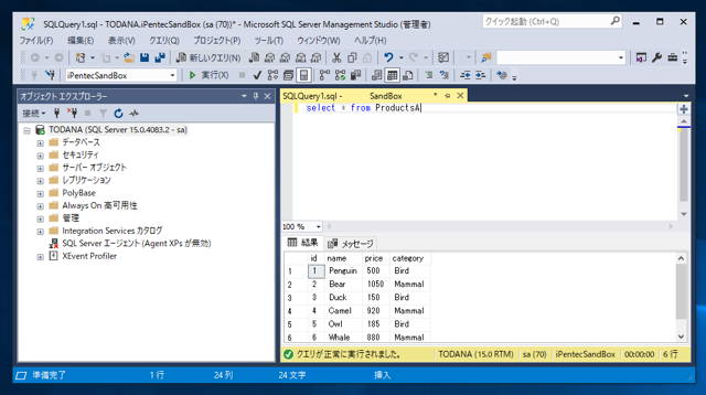 SQL Server で SQLを実行する:画像8