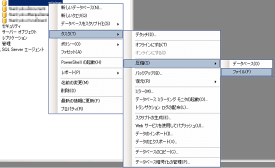 SQL Serverのトランザクションログを圧縮する:画像1