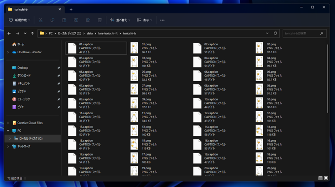 画像に対するキャプションファイルを自動で生成する (BLIP を利用する):画像7