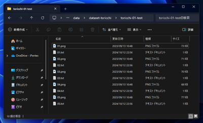 Dataset Tag Editor ですべての画像にタグを追加する:画像1