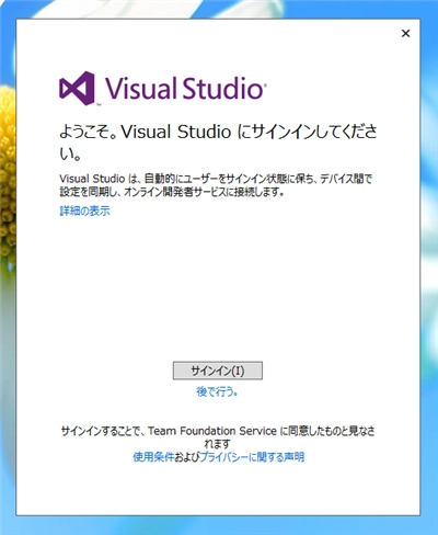 Visual Studio 2013 のインストール:画像8