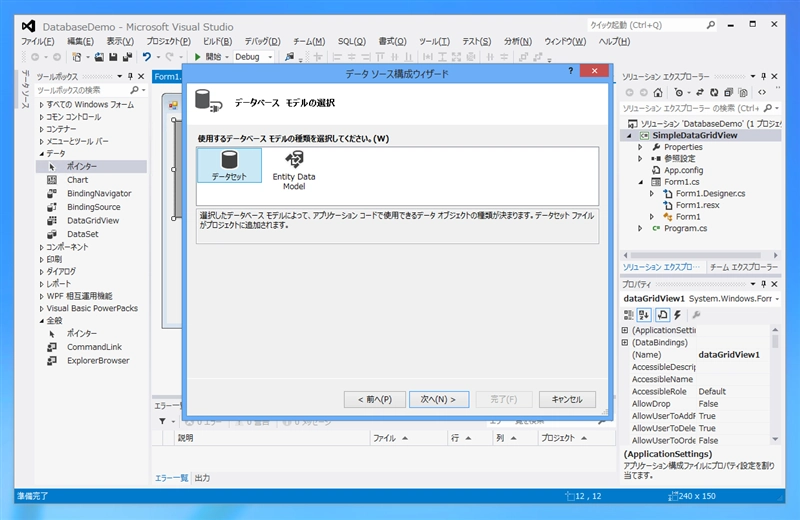 Windows Form のデータソース (DataSource)を作成する:画像2