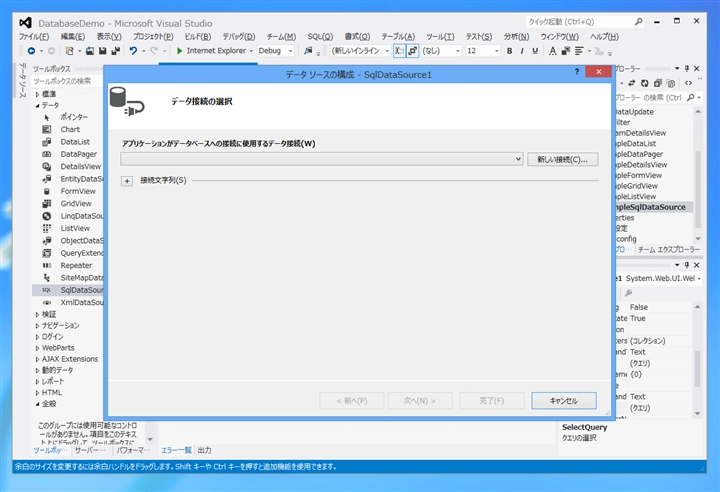 Windows Form のデータソース (DataSource)を作成する:画像18