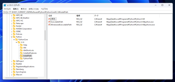 Visual Studio の Python 環境の情報の保存先:画像2