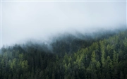 Windows 10 の壁紙:画像66