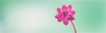 Windows 10 の壁紙:画像95