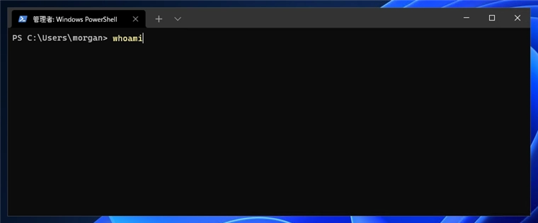 Azure AD に参加しているPCにスマートフォンのリモートデスクトップアプリで接続する場合の設定:画像1