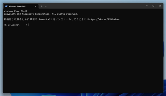 通常のコマンドプロンプトやターミナルで管理者権限が必要なプログラムを実行する - sudo コマンドの利用:画像11