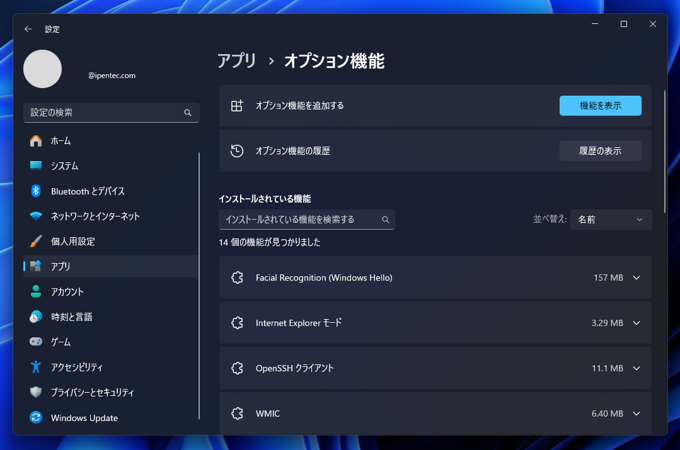 Windows 11 に IIS(Internet Information Services)をインストールする:画像2