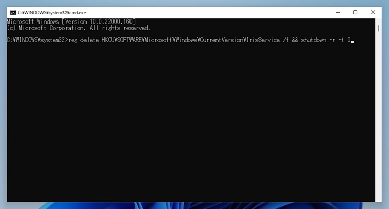 Windows 11 プレビュー版でタスクバーにボタンやアイコンが表示されなくなってしまった:画像8