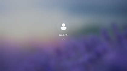 Windows 11 25H2 へのアップデート:画像15