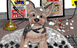 Windows 3.1 の壁紙:画像21