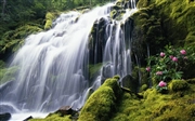 Windows 7 の壁紙:画像29