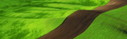 Windows 8 の壁紙:画像6