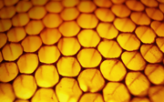 Windows 8 の壁紙:画像15