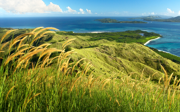 Windows 8 の壁紙:画像42