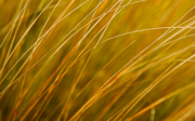 Windows 8 の壁紙:画像31