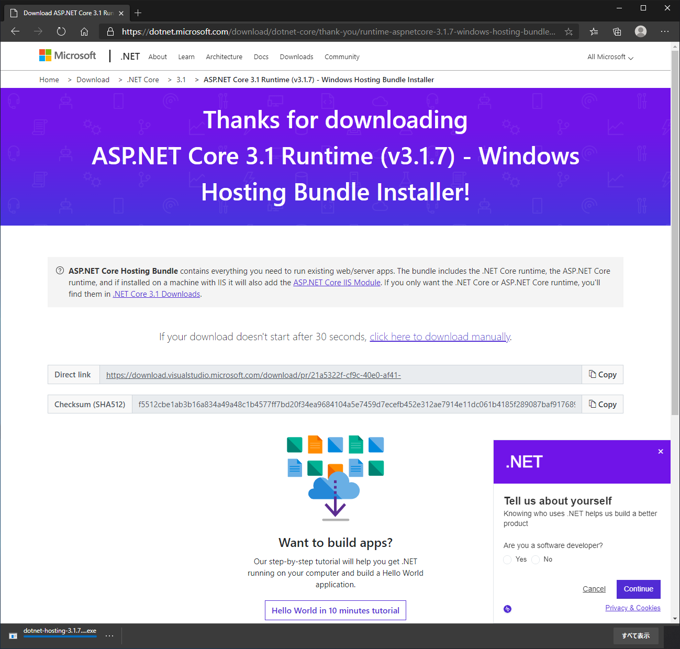 .NET Core Windows Server Hosting のバージョンアップをする:画像3