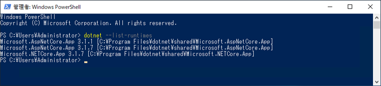 .NET Core Windows Server Hosting のバージョンアップをする:画像10