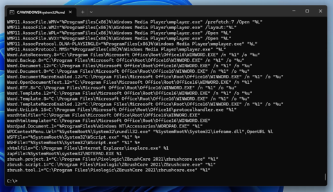 コマンドでファイルの種類に対応して起動するプログラムの情報を取得する:画像2