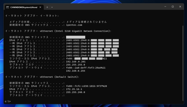 コマンドでIPアドレスを確認する方法:画像2