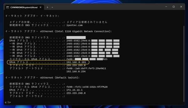 コマンドでIPアドレスを確認する方法:画像3