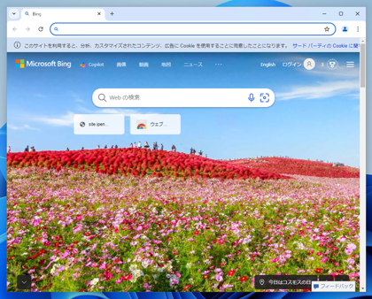 Google Chromeのデフォルトの検索サービスを変更する:画像9