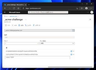 win-acme を利用してワイルドカード証明書を取得する:画像22
