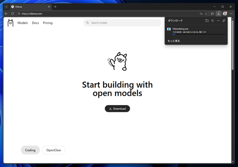 Ollama をインストールする:画像2