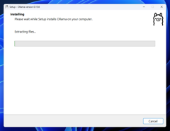 Ollama をインストールする:画像5