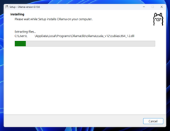 Ollama をインストールする:画像6