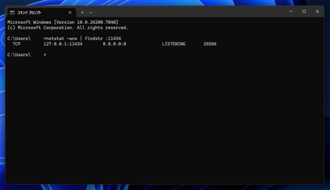 Ollama をインストールする:画像10