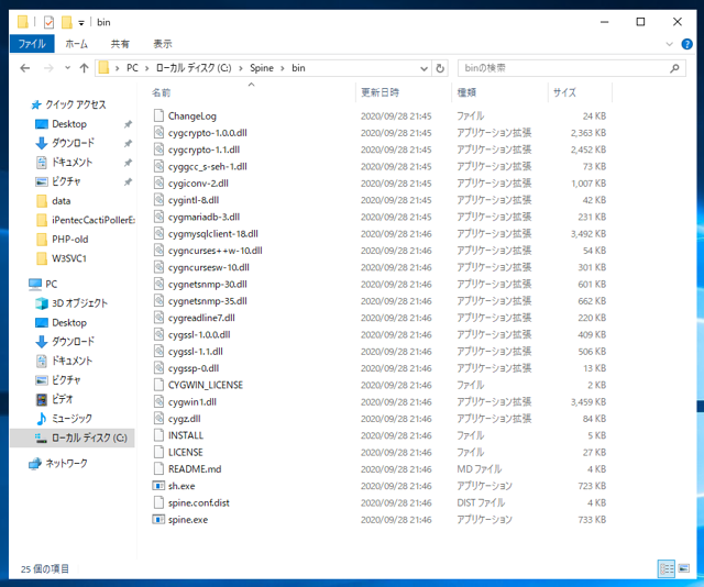 Windows Server に Spine をインストールする:画像5